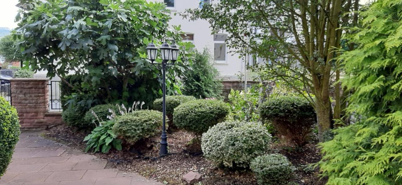 באד פירמונט Hotel Carolinenhof מראה חיצוני תמונה