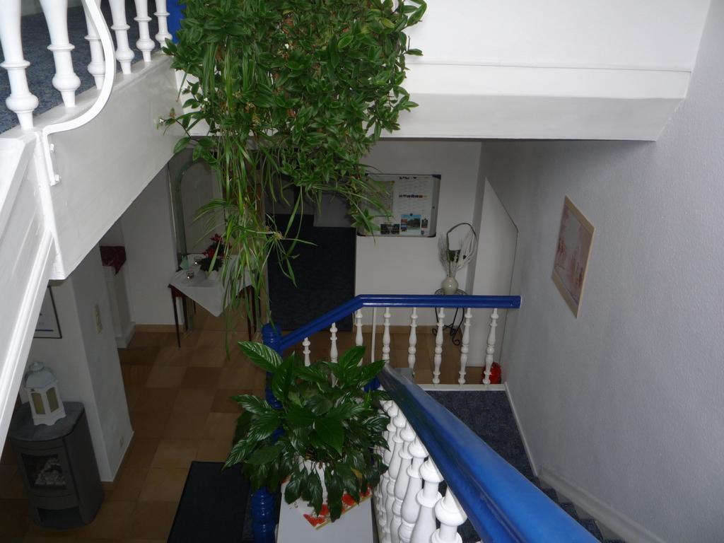 באד פירמונט Hotel Carolinenhof מראה חיצוני תמונה